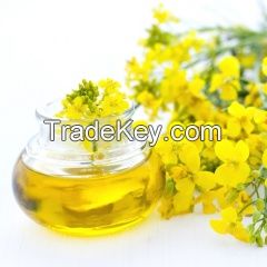 rapeseeds Oil