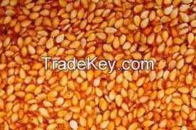 Sesame Seeds Processed