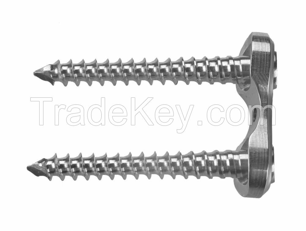 Polyaxial 8-Plate