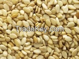 SESAME SEEDS