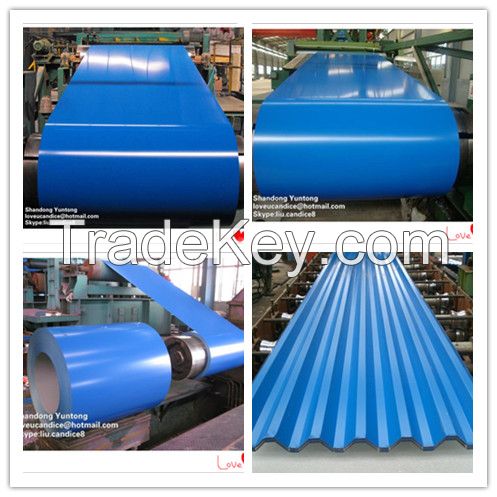 Galvanized steel in coil