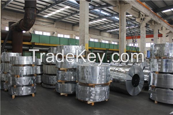 Galvanized Steel Strips