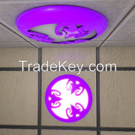 Ceiling Lamp