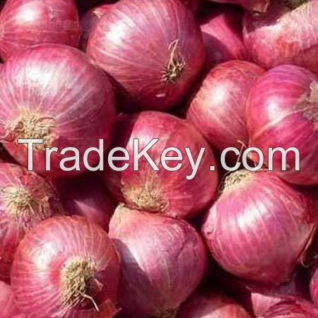 Red Onion 