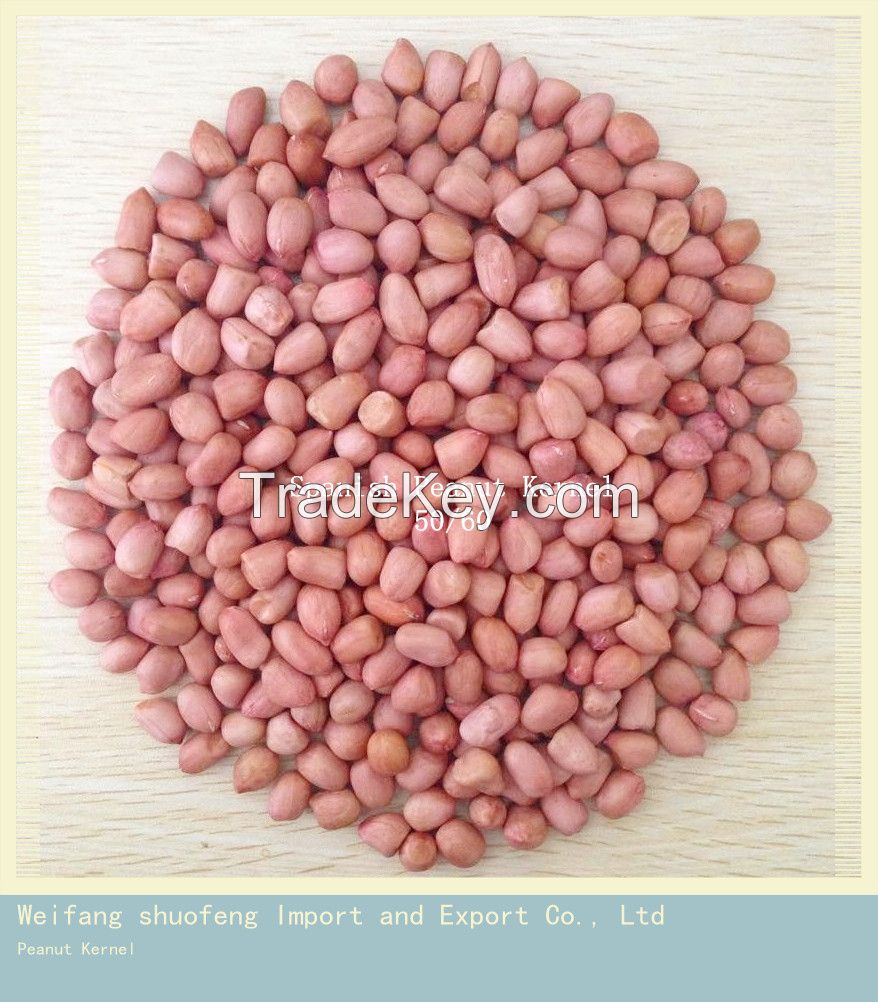 Chinese First Grade Spanish Peanut Kernels with competitive price