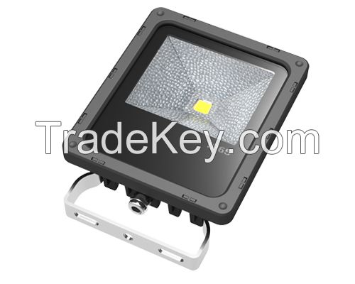 LED flood  light LA-F20WA-NW