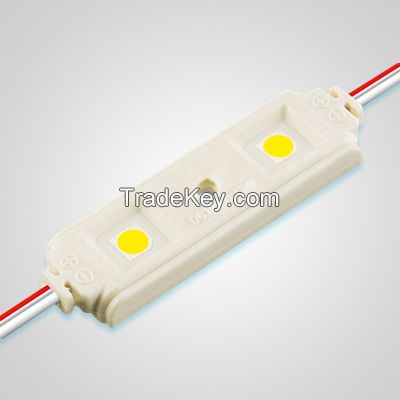 2 lights SMD5050 LED injection module for light box