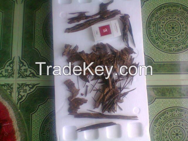 Oud/ Agarwood/ Gaharu
