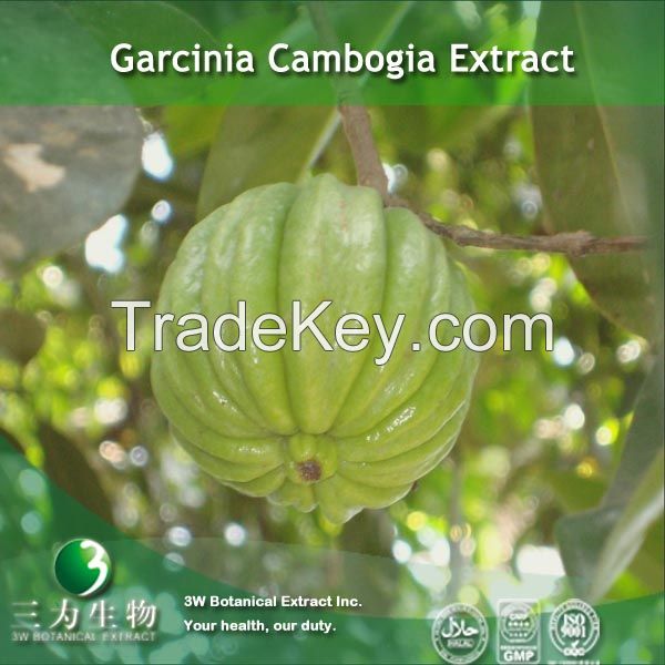 Garcinia Extract( 60% Hydroxycitric acid) For Weight Loss 