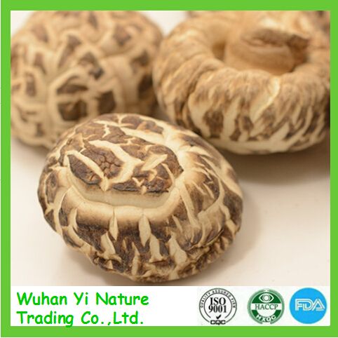 Dried Chinese Black Mushroom