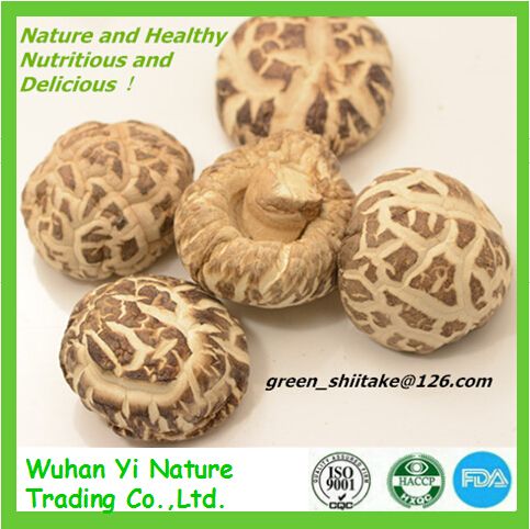 Dried White Flower Mushroom