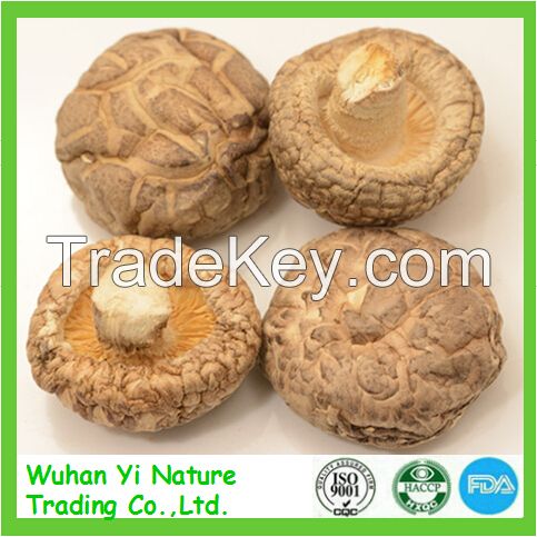 China Bulk Dried Flower Shiitake Mushroom