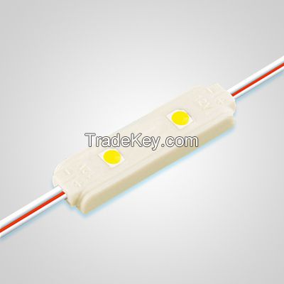 2 lights SMD3528 LED injection module