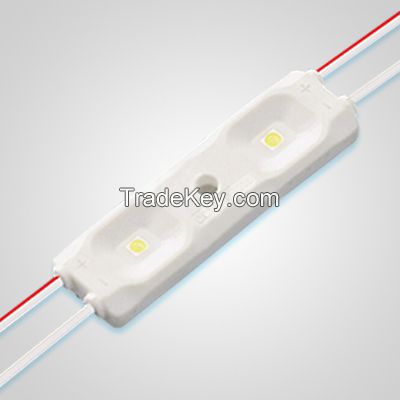 2 lights SMD2835 LED injection module