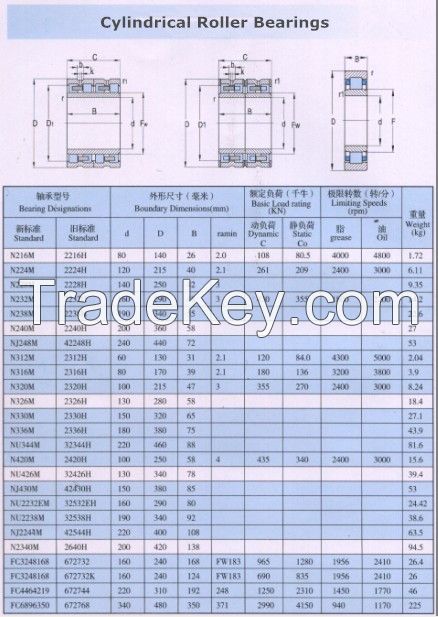 Cylindrical Roller Bearings