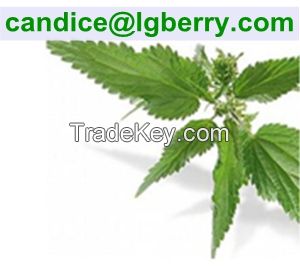 Nettle root extract / 6, 7-dihydroxybergamottin