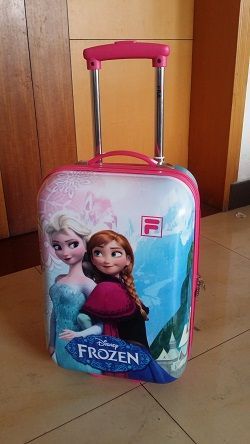 Kids Trolley Case