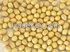 Soybeans