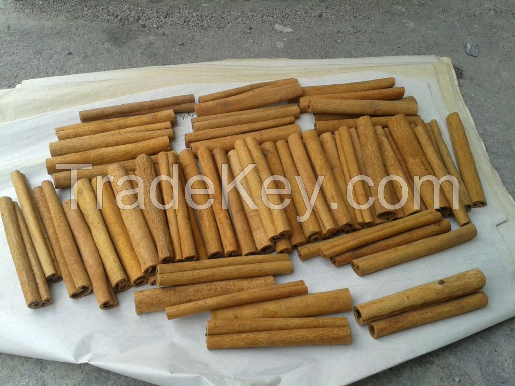 Cassia Cinnamon