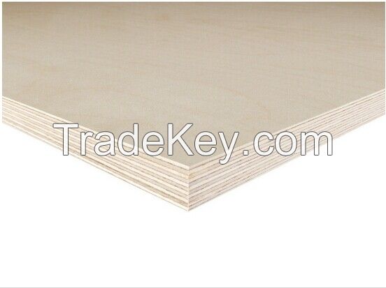 Birch Plywood with BB Grade