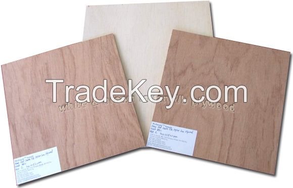 White/Brown Lauan F/B Plywood, Hot Selling!