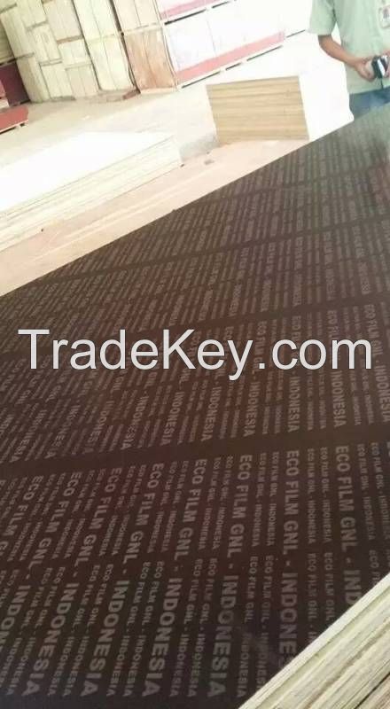 hot selling film faced plywood