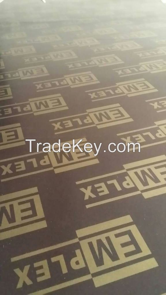 hot selling film faced plywood