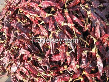 dried chili