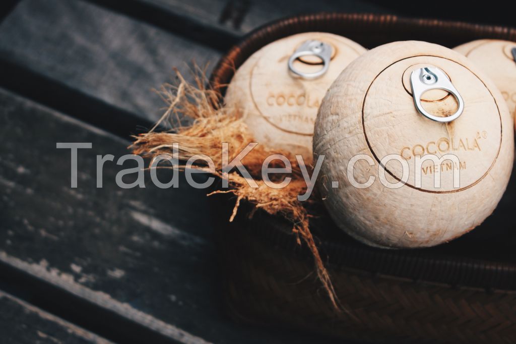 Easy Opening Coconut 