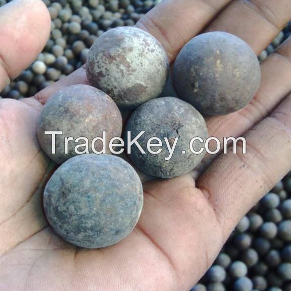 High Quality Corypha Utan Seeds