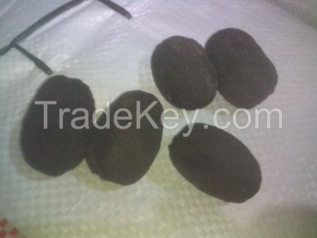 TOP Bismarckia Nobilis Seeds