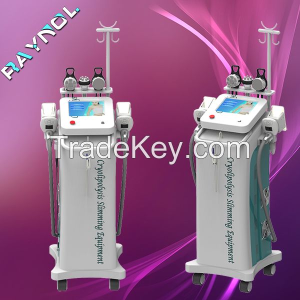 multi-fuctional beauty equipment fat freezing machine / freezing fat slimming machine / cryolipolysis machine