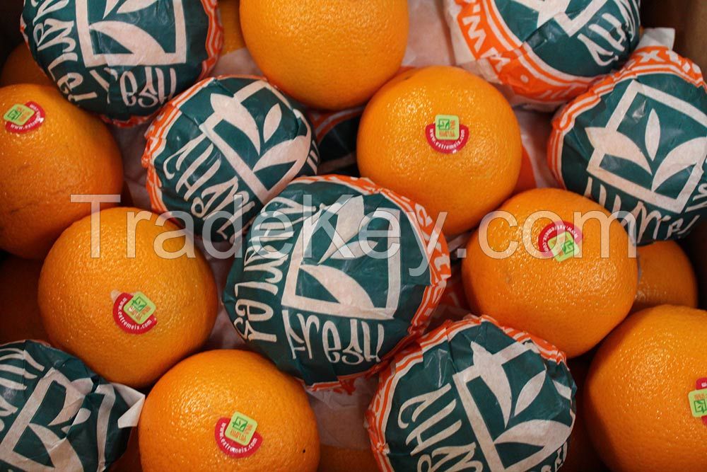 Oranges