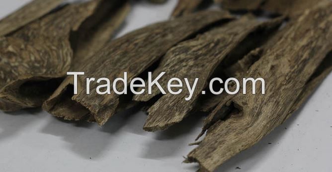 Agarwood Chip AA