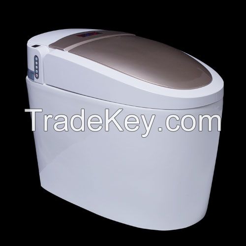 HZH Hezheng Smart toilet