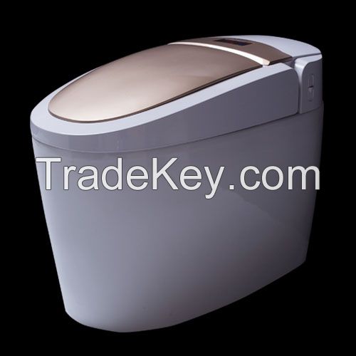 HZH Hezheng Smart toilet