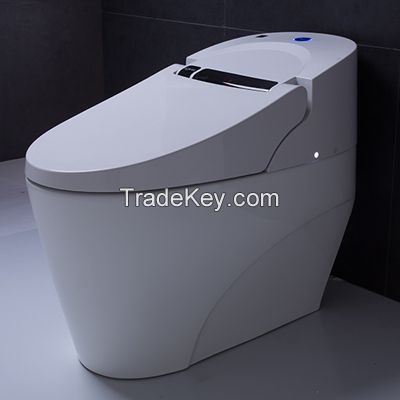 Smart computer aid toilet