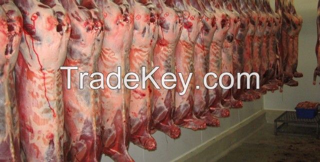 meat and meat products