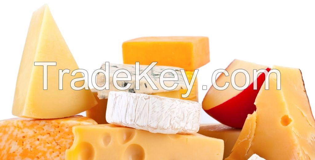 Italian and Continental Cheeses