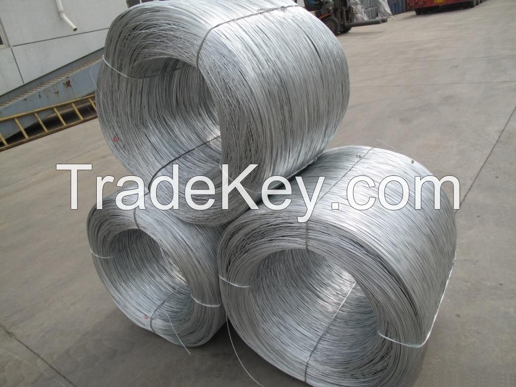 Galvanized Iron Wire