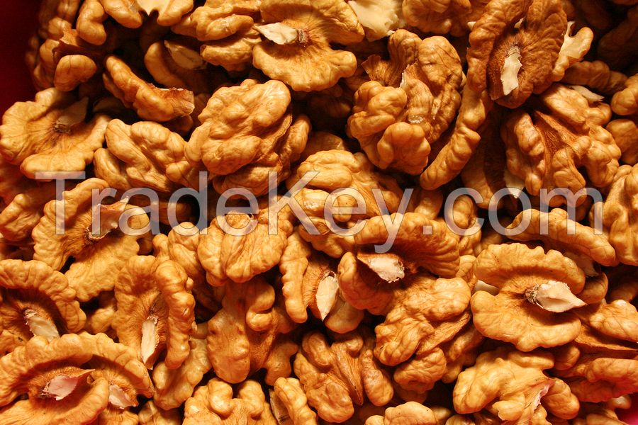 Wholesale Walnut &amp;amp; Walnut Kernel Price