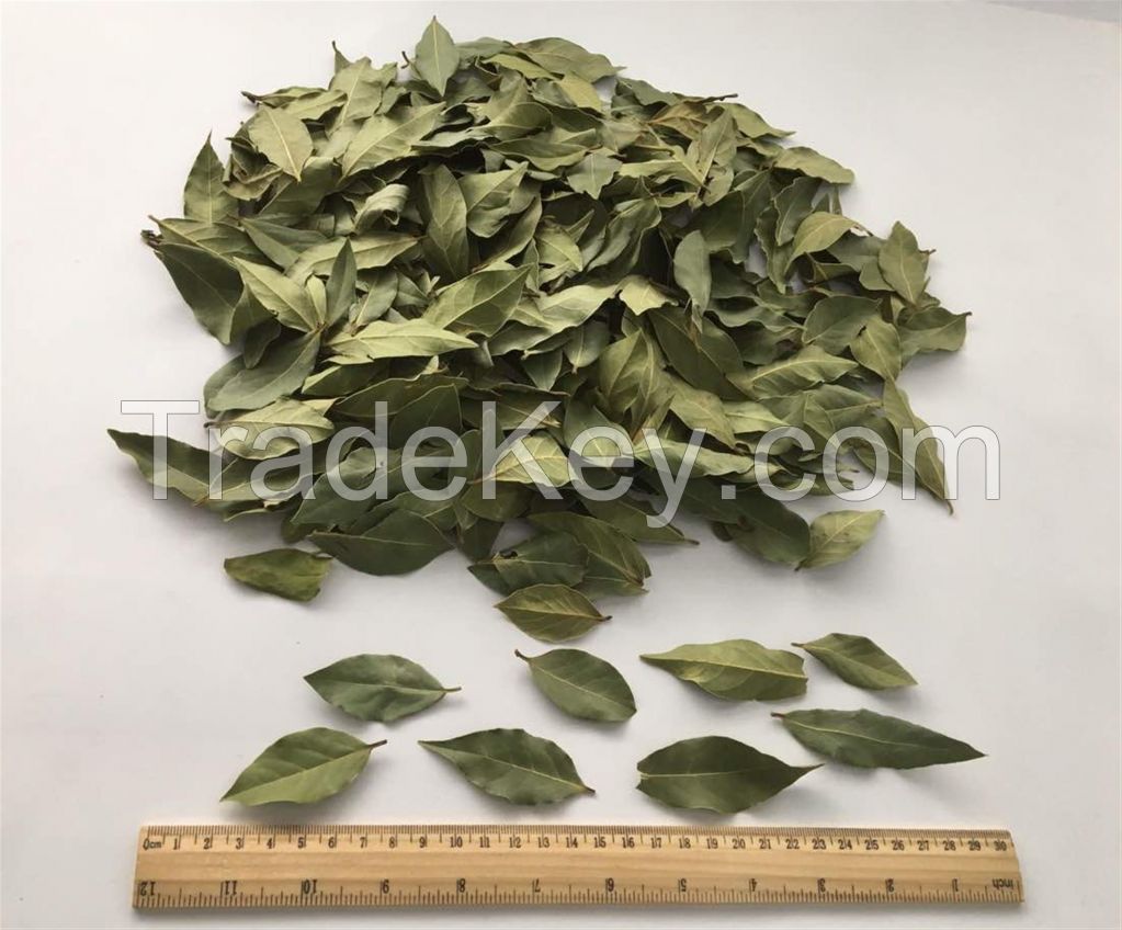 Bay Leaves