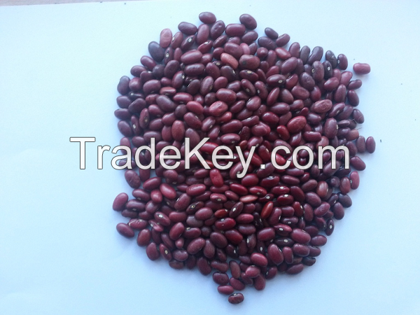 kidney beans