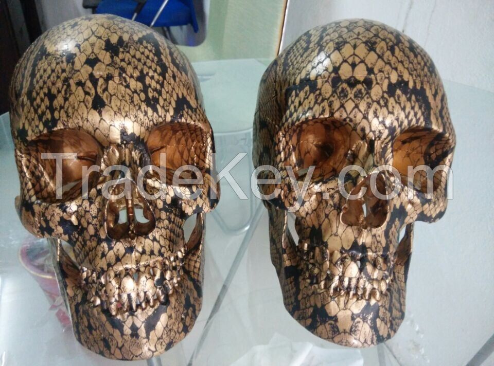 water transfer printing for skull model