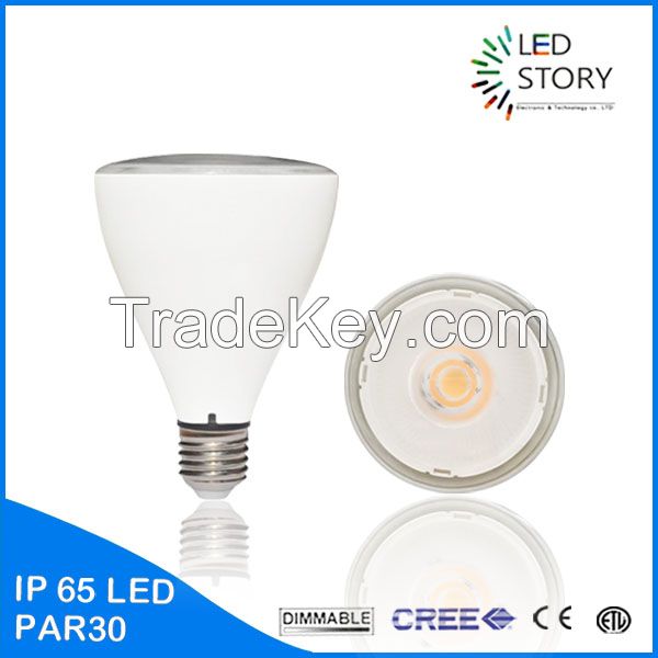 led lights par30 12w led spot light