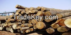 Sawlogs Of Deciduous (Alder, Birch, Aspen)