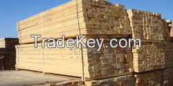 Lumber Of Coniferous-Pine, Fir, Silver-Fir