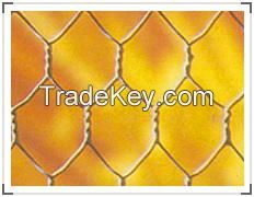 Hexagonal Netting