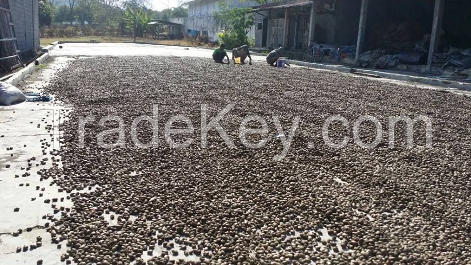 Dried Raw Cashew Nuts in Shell Crop 2016/2017