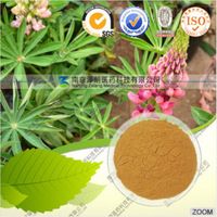 100% Natural Lupeol HPLC 98%